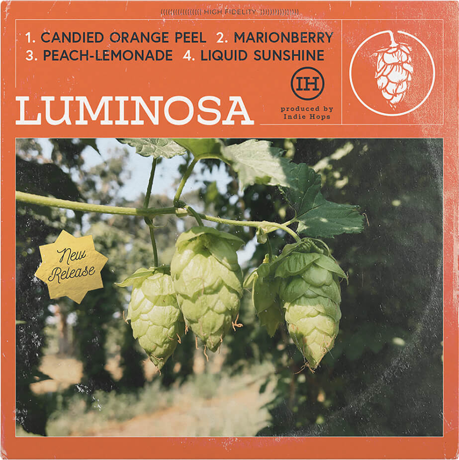 Album cover for Luminosa