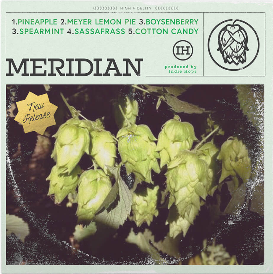 Album cover for Meridian