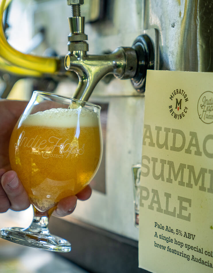 Audacia Summer Pale collaboration brew with Migration Brewing featuring Audacia hops